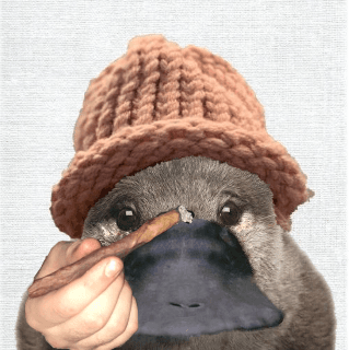 PlatWifHat Icon
